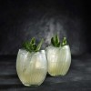 LuigiBormioliMixologyCocktailIceglas50cl6stk-03
