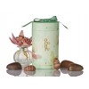 CocotureGaverrmedPskegmarcinpang275g-032
