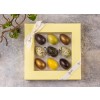 XocolatlEGGCELLENTmed9stkPskeg-030