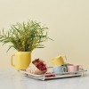 SteltonRigTigCarryOnbakkeilysegr-010