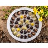 XocolatlGaveskeEasterPrestigemed42pskechokolader-026